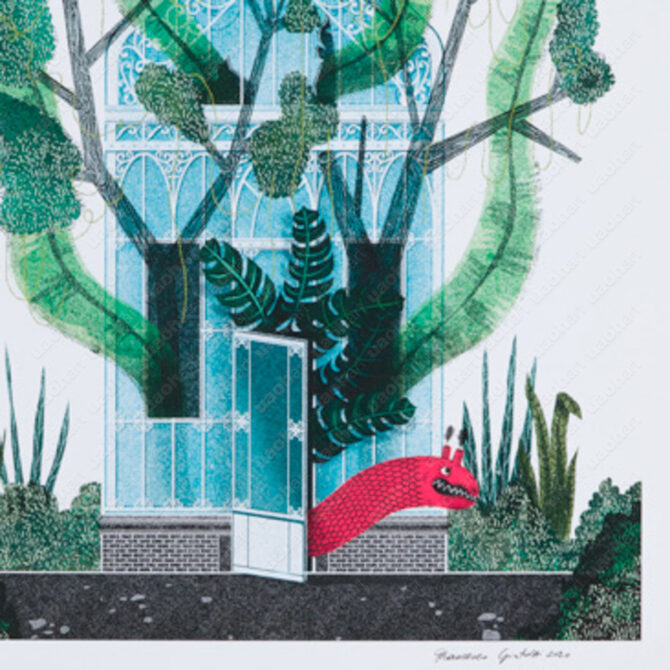 Greenhouse Drago